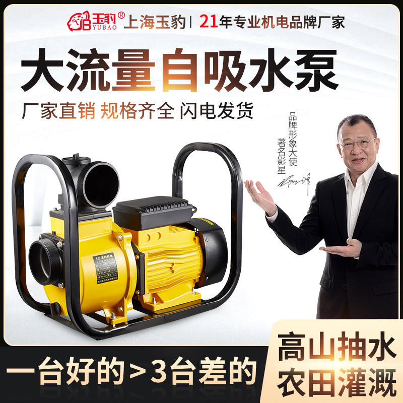 Agricultural irrigation water pump large flow pump 2 inches 3 inches 4 inches high lift self-priming centrifugal pump sewage slurry pump