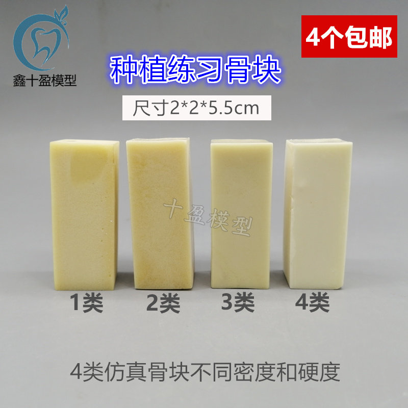 牙科口腔模型种植练习骨块雕刻模型 仿真牙骨槽教学模型4个包邮