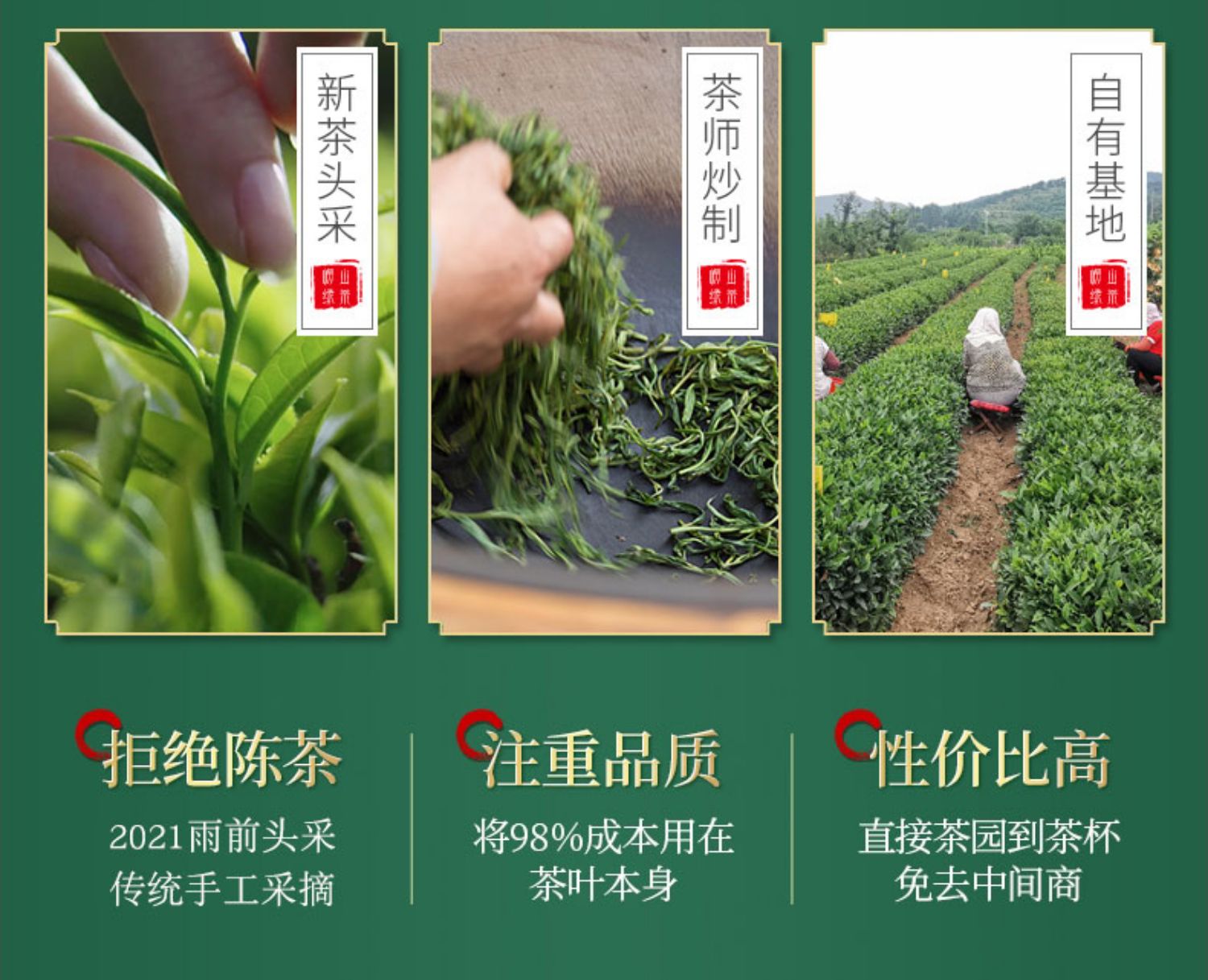 崂山绿茶2021浓香新茶罐装250g