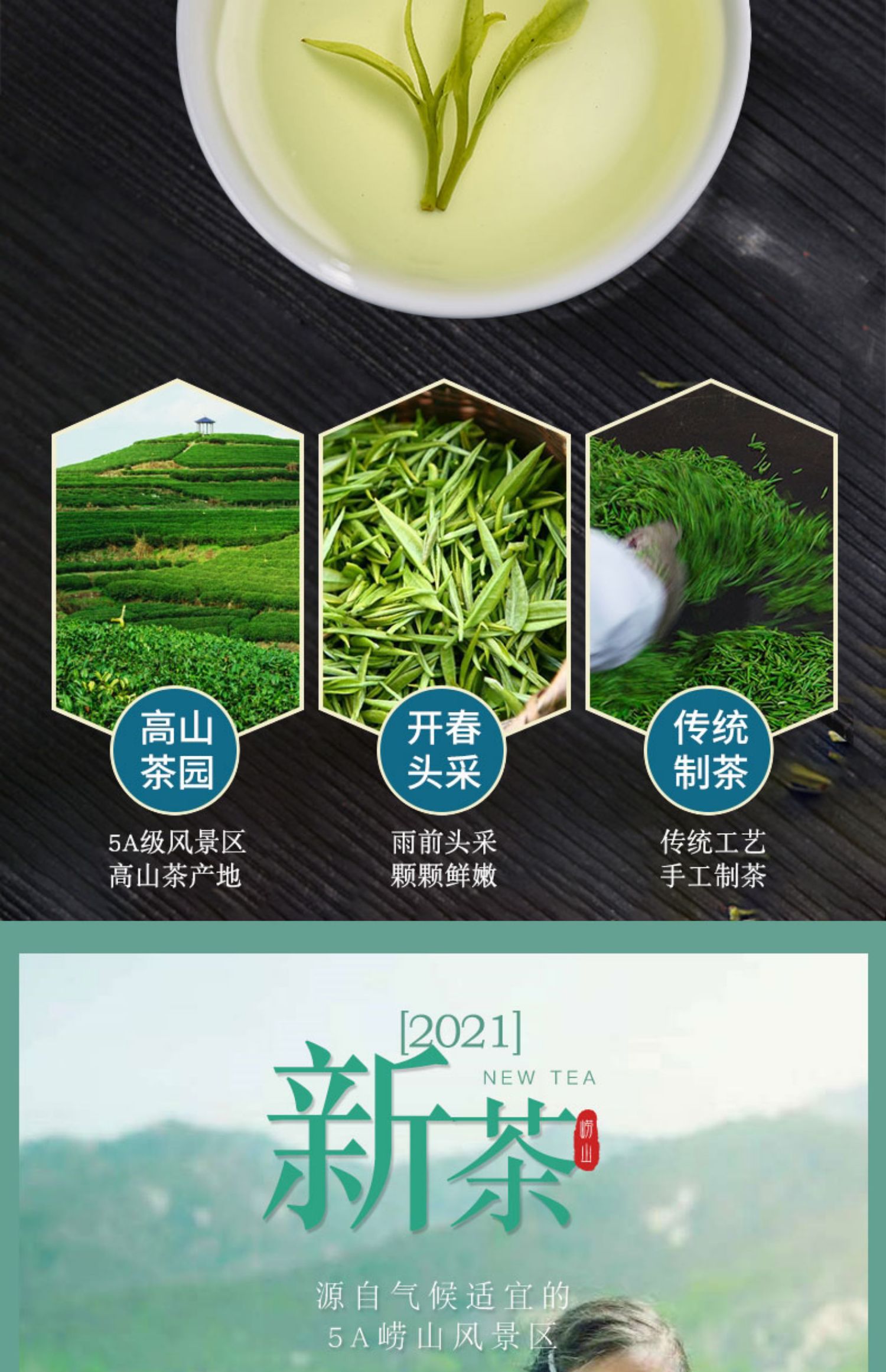 崂山绿茶2021浓香新茶罐装250g