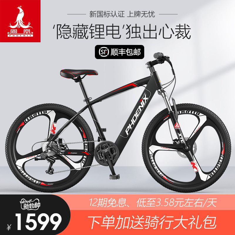 Phoenix power pedal electric mountain bike Men and women adult small electric car Battery car Motorcycle