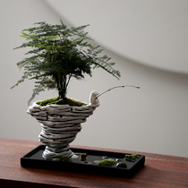 Wenzhu Wu Jinshi Bonsai plant Office micro-landscape green plant good breeding Desktop decoration creative small potted plants