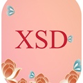 XSD饰品