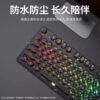 Mechanical Feel Keyboard USB Wired Computer Desktop Laptop for Boys and Girls Gaming E-Sports Office Dedicated Punk