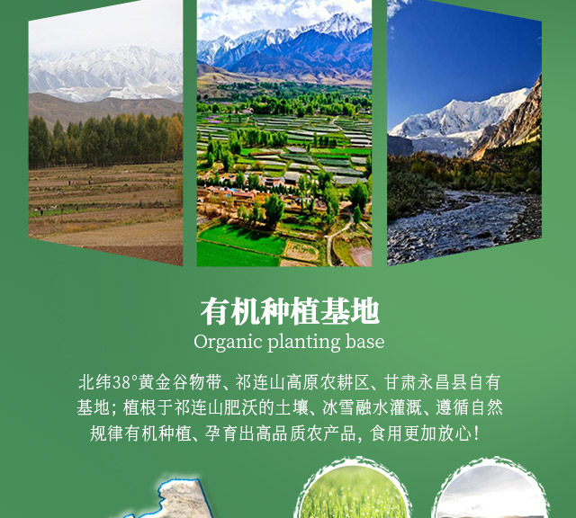 安享好物 安享S级小麦面粉-祁连农庄有机黑全麦面粉 行标 