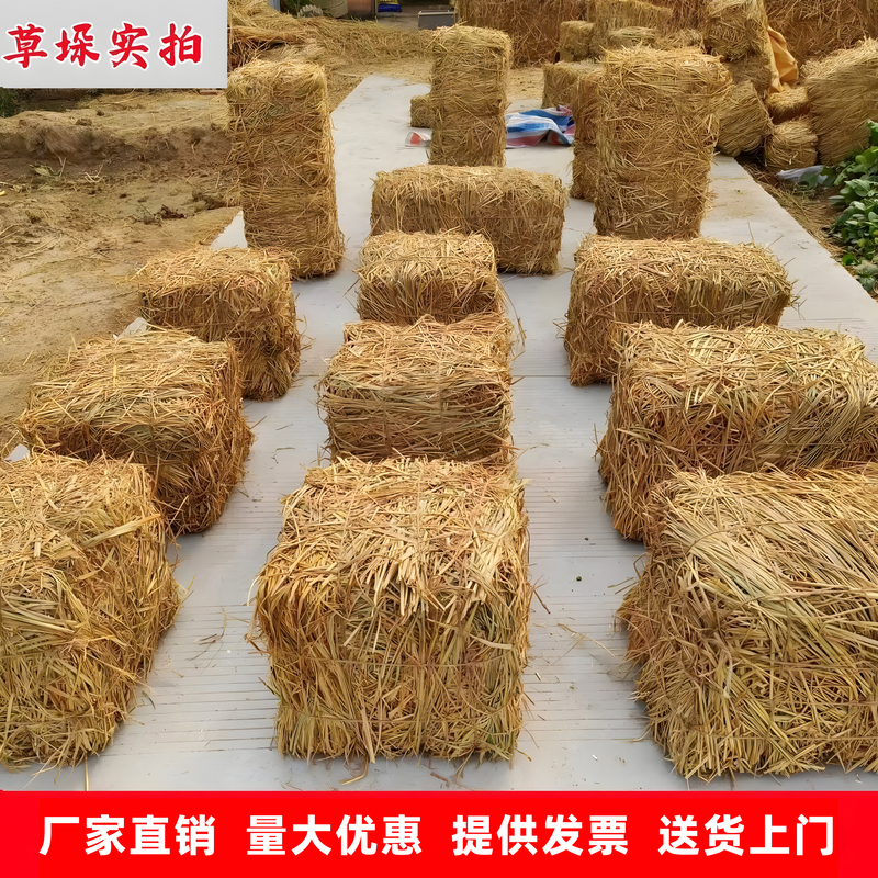 Hay Bales, Grass Piles, Square and Round Hay Stacks, Dry Straw, Straw Piles, Hay Bale Decorations