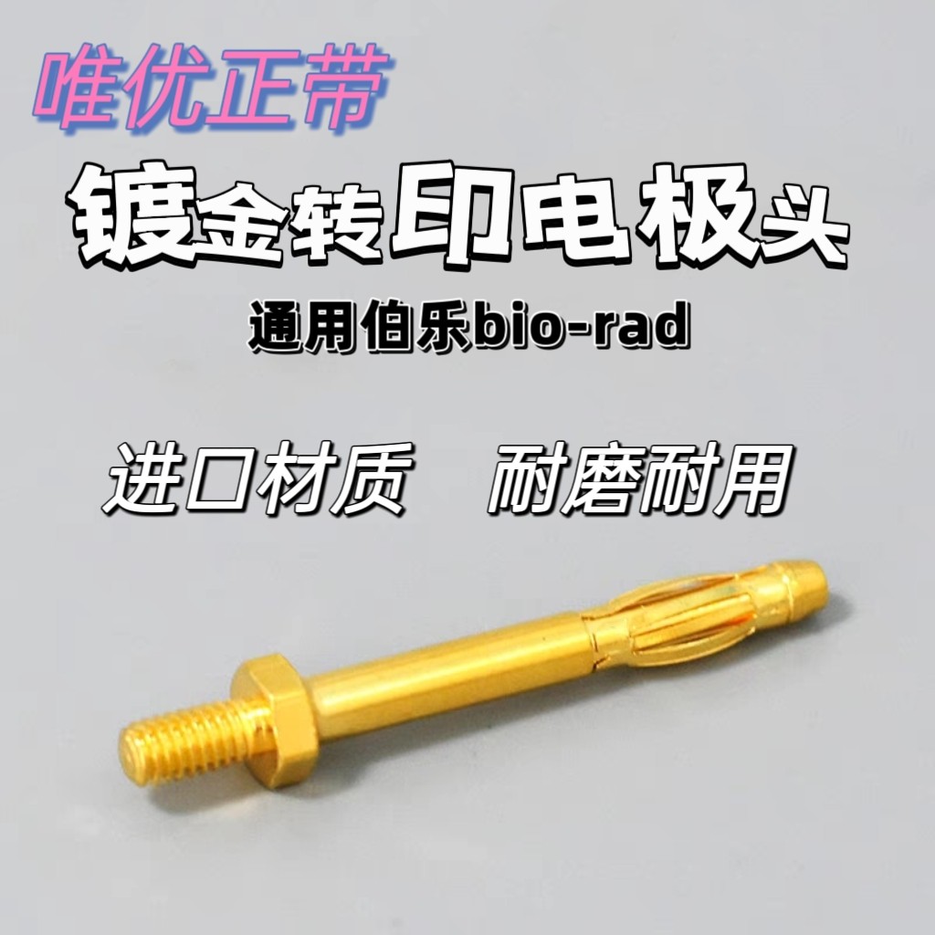 电泳/转印槽电极头 转膜电极头 电泳配件 伯乐通用