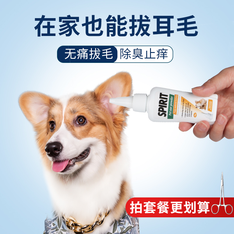 Plucking hair puppy dogs Pets without pain plucking ears Ears Powder to ear wool Ears Teddy Ear Cleaning Supplies