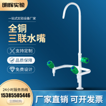 Hui test all copper higher education spraying laboratory faucet laboratory water nozzle laboratory triple nozzle