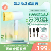 Philips Hair Dryer BHD399 Home High Power Electric Hair Dryer Dorm Sun Speed Dry Water Negative Ion Conservation Hair