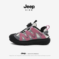 Сюаньун Эш/Шаояо Порошок (модель двойной сети)