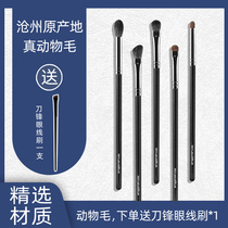 Cymbidium animal hair five eye shadow brush set portable eye full set of super soft makeup brush details nasal shadow