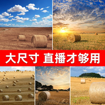 Rural live broadcast background cloth anchor shooting background wall live room background wall map photography terrace HD 3d stereo net red atmosphere mobile hanging cloth large size photo background cloth