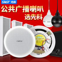 Sen Ke ceiling speaker broadcast ceiling wall-mounted coaxial drop ball waterproof outdoor sound column ceiling wireless speaker embedded constant pressure public address shopping mall background music restaurant audio