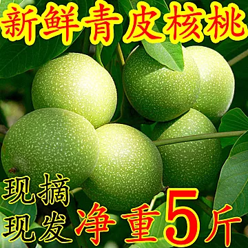 【恩小念】5斤现摘现发薄皮青皮核[20元优惠券]-寻折猪