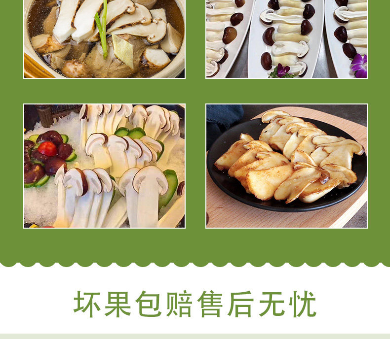 天然赤松茸 1000g 图13