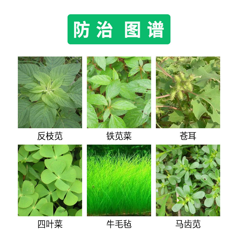 春耕必备:揭秘滨农科技50%扑草净的神奇力量-除草剂-淘宝好物网