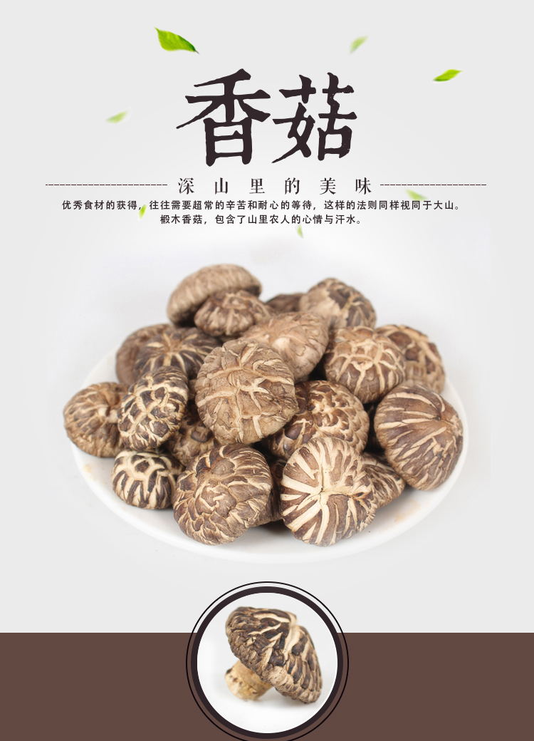 正宗椴木特级金钱小香菇200g