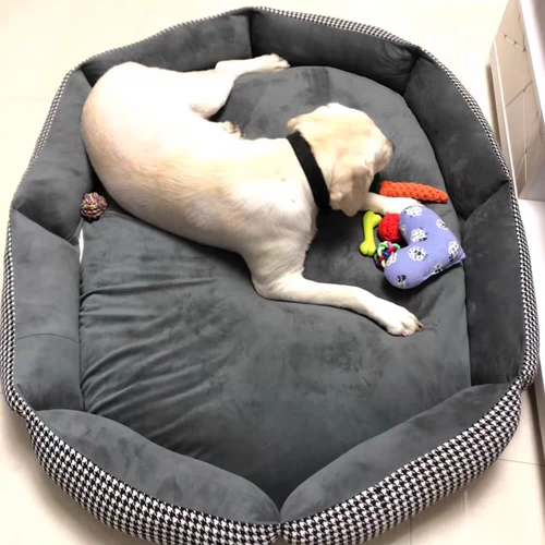 Снос гнезда ядра может мыть золотое гнездо для волос Самоиэлабрад