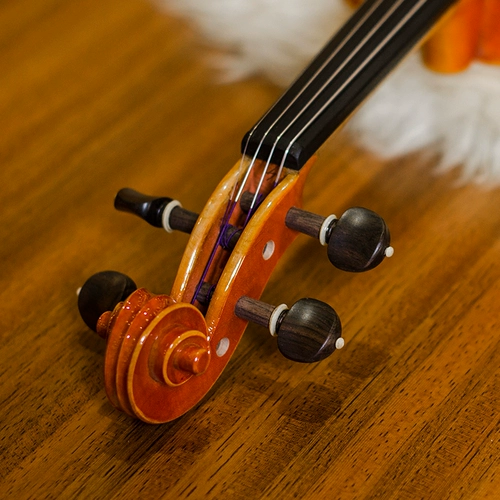 Учитель Кристина, Италия строго отобрана e05a xiaoqin