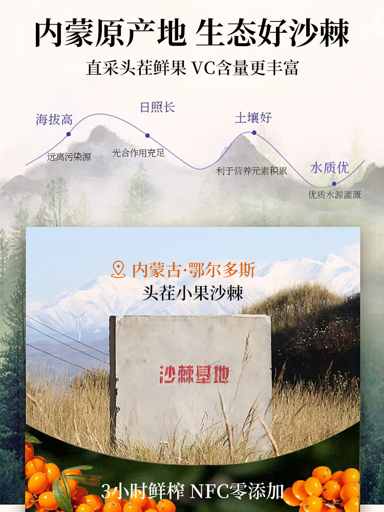 Sea Buckthorn Puree Genuine Product Official Flagship Store Fruit Pulp Non-Organic Liquid Extract Inner Mongolia Small Fruit Inner Mongolia Grassland Nfc Juice