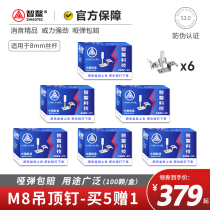 Zhiao ceiling artifact M8 integrated nail M6 ceiling shooting nail M10 gun nail double base medicine no dud bomb easy to stimulate