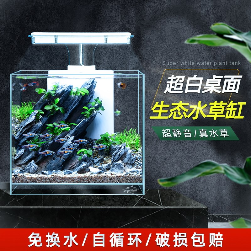 Mini fish tank desktop creative water-free exquisite small office ecological tank living room home lazy water grass tank