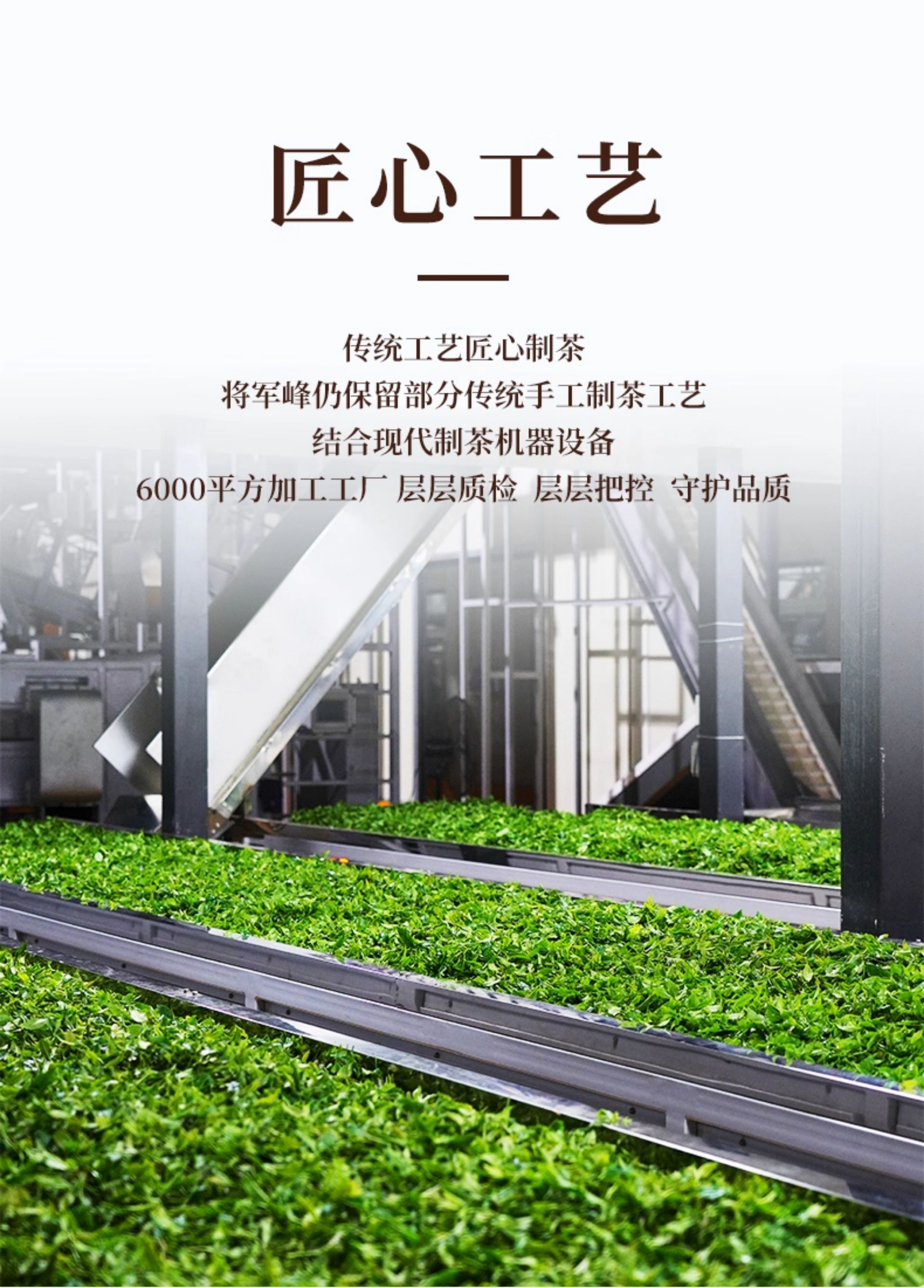 安享好物 安享S级绿茶-将军峰有机绿茶 国标 