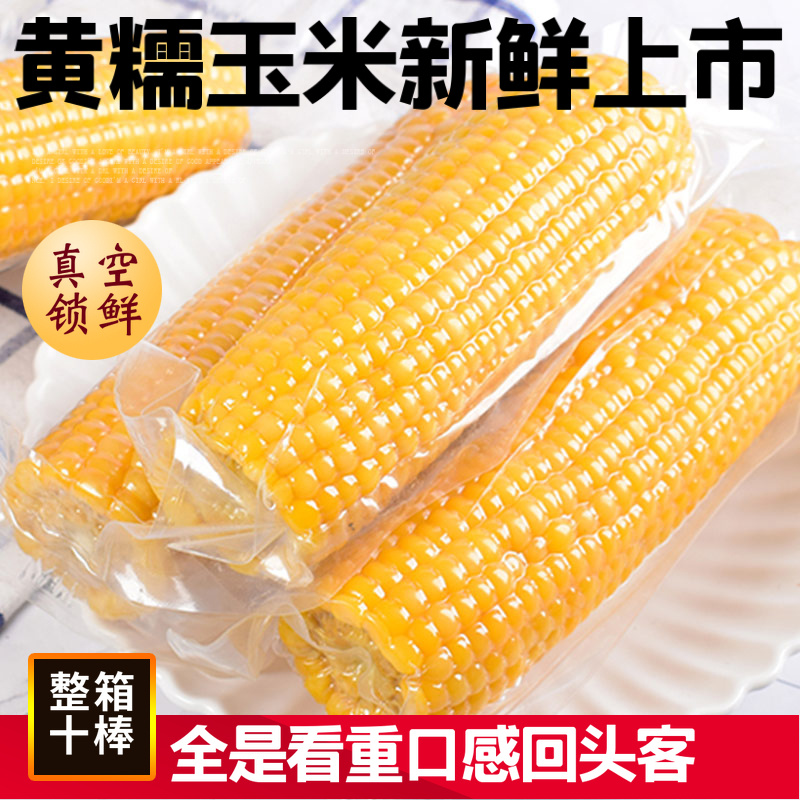 Yitian yellow glutinous corn 10 corn cob fresh grains Northeast corn vacuum-packed Heilongjiang sweet sticky corn