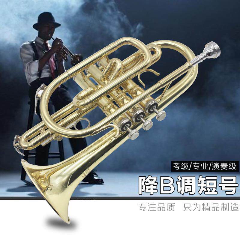 Short Number of small instruments descending B dispatchers Professional level Short instruments brass instruments Brass Instruments Soundtrack BEAUTIFUL-Taobao