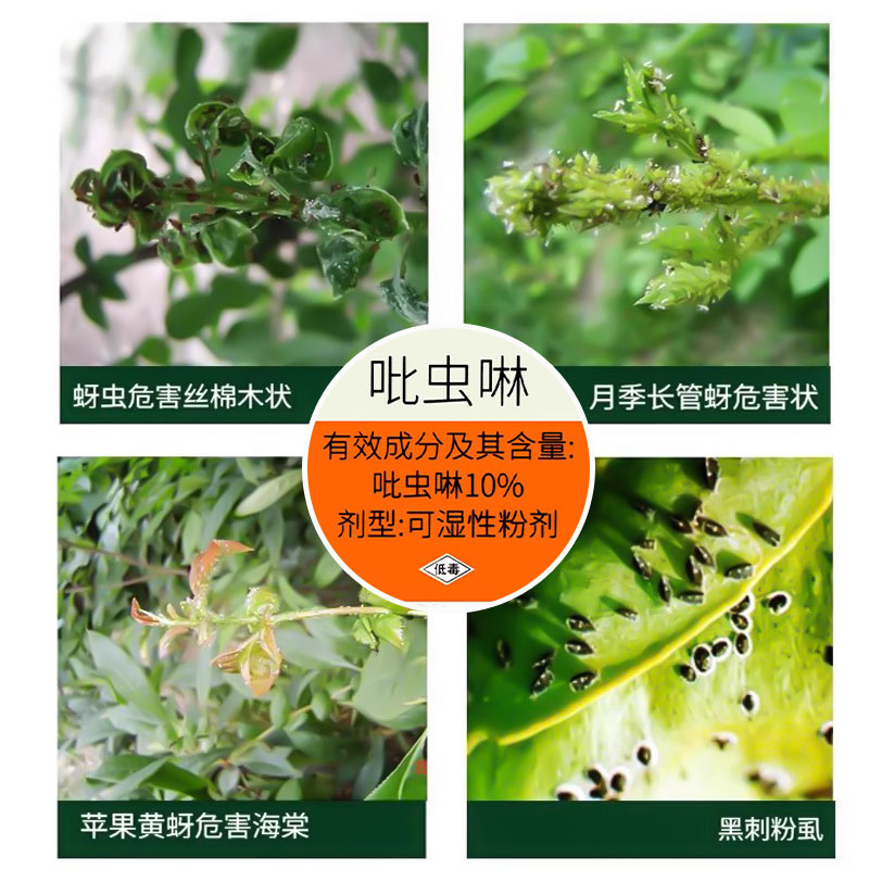 【整箱特惠】国光迅敌高效氯氰菊酯，告别蚜虫红蜡蚧壳虫烦恼！🌿
