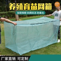 Turtle pull net fishing net cloth nursery box Qingtang net storage fish net cage box Fish net piece fishing nylon fishing net cage