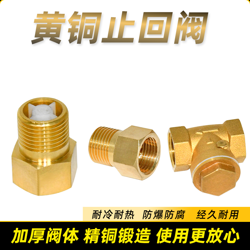 Brass check valve 4 minutes 6 discrete horizontal vacuum pump accessories special explosion-proof all-copper thickened one-way check valve