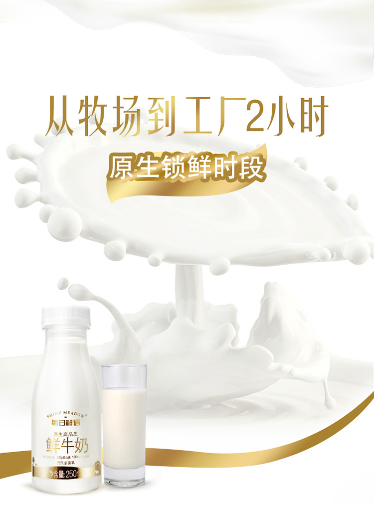 蒙牛每日鲜语鲜牛奶250ml*12瓶