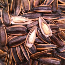 New original melon seeds 500g bagged spiced melon seeds caramel sunflower nuts wholesale casual snacks