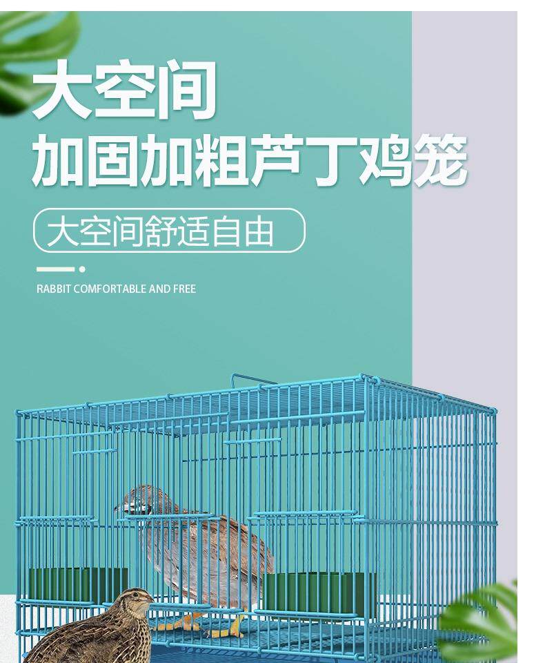 Материнской колокола 芦丁鸡观赏笼专用鸡笼子饲养箱育雏家用养殖小黄鸭柯尔鸭小宠物笼 OTHER
