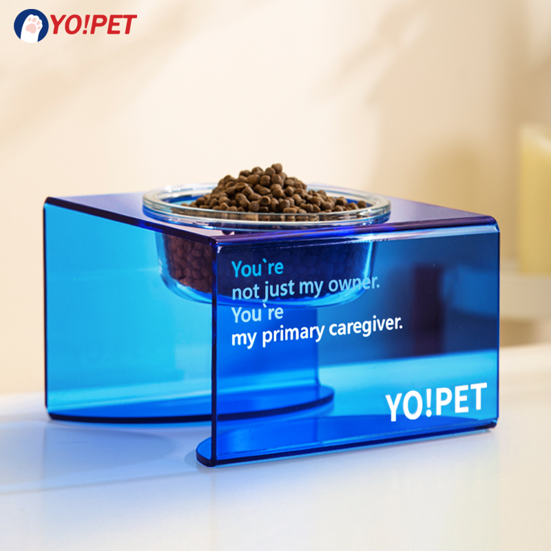 Grapefruit Cat Bowl Dog Bowl Cat Dog Food Basin High Face Value Pet Bowl protection Cervical Cat to eat and drink water Bowl Neck