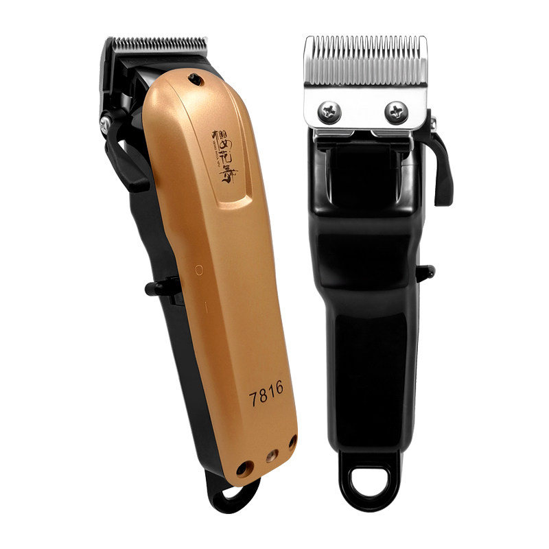 去宠物店给狗剃毛要花多少钱？2026年预算参考全攻略！