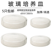 Laboratory glass instrument petri dish thickened cell bacterial petri dish diameter 60 75 90 100 200mml high temperature resistant biological plate experimental instrument