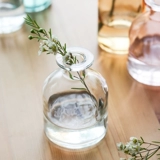 Nordic Ins Wind Vase Vase Glass Transparent Ornament Living Room Цветочная обменозаная вода -рогающая зеленая укроп на рабочем столе спальня сухие цветы