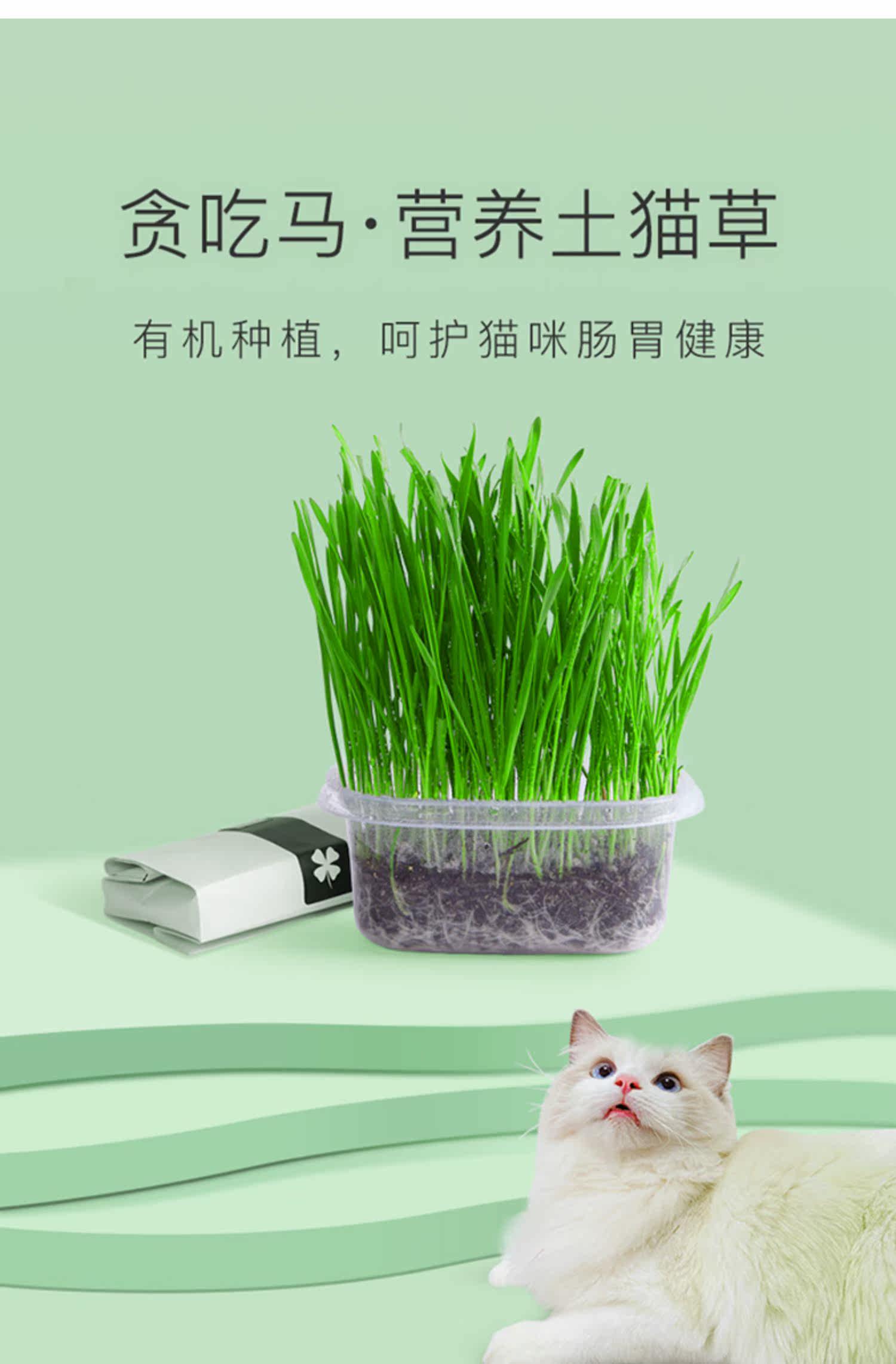 喵趣横生营养土有机猫草2套9 9元 淘券侠