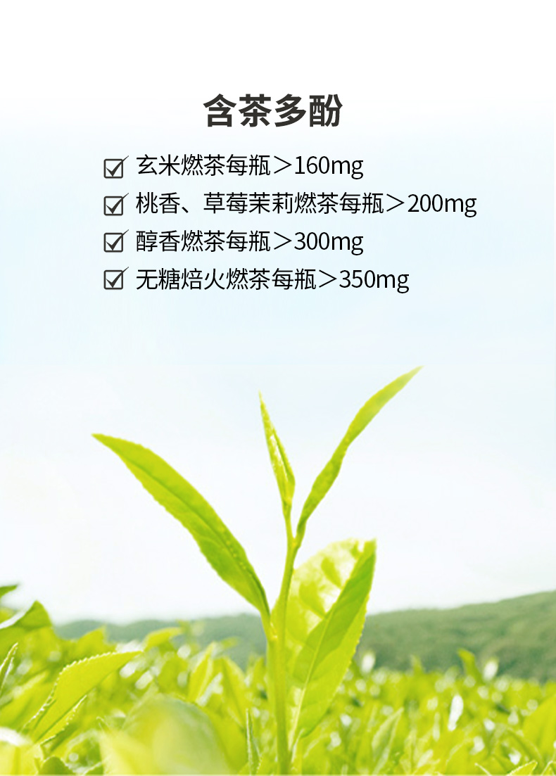 燃茶乌龙茶组合0糖0脂茶饮料500mL*30瓶