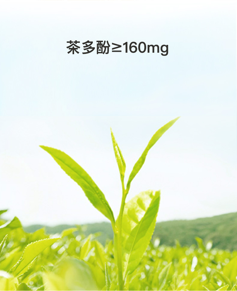 临期特价 元气森林 玄米燃茶 无糖乌龙茶 500ml*15瓶 图3