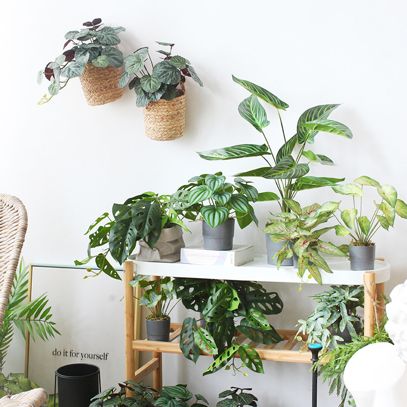 Sicilian Emulation Plant Green Leafs Potted Nordic Home Tabletop Green Plant bonsai Balcony Plant Wall