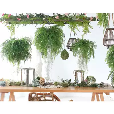 Sicily simulation fern leaf grass ball hanging shop window decoration green plant ornaments hotel dining room