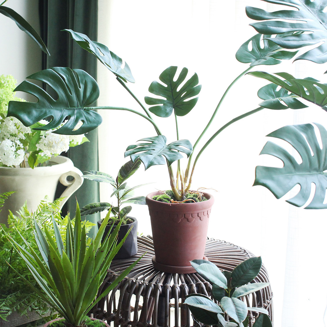 Sicilian simulation plant turtle back leaf potted free series Home living room green plant potted dining room desktop ornaments