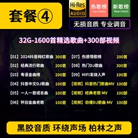 Пакет четыре качества винилового звучания 32G [Отправить 1600 песен+300 видео]