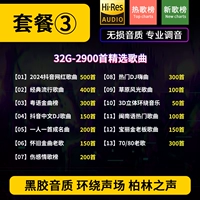 Пакет 332G качество винилового звучания [дайте 2900 песен]