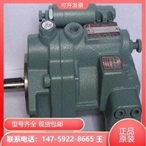 Taiwan Xuhong HHPC plunger P46-HL3-F-R-01 P46-HL3-F-R-01 P46-HL2-F-R-01 P46-HL1