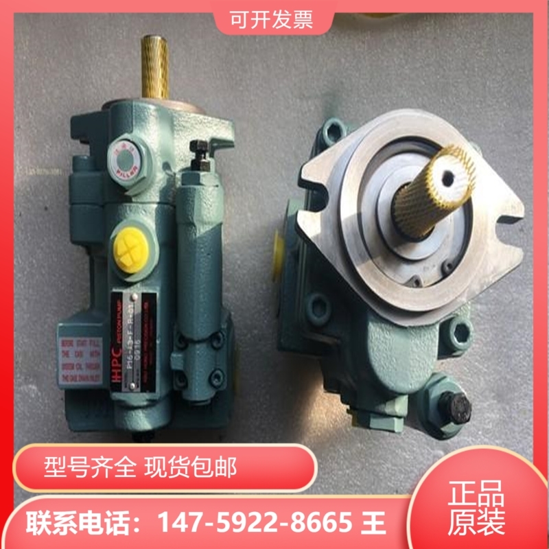 Taiwan Xuhong HHPC plunger P22-HL3-F-R-01 P22-HL3-F-R-01 P22-HL2-F-R-01 P22-HL1